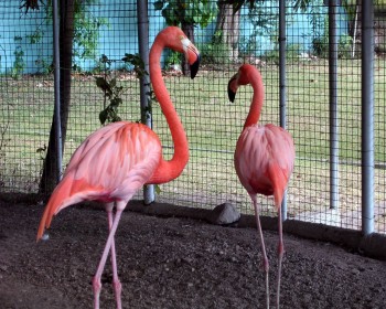 iwanatrip ecuador
