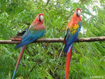 iwanatrip ecuador
