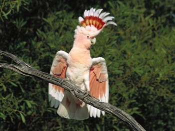 iwanatrip ecuador