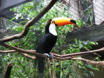 iwanatrip ecuador