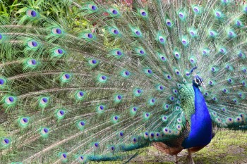 iwanatrip ecuador
