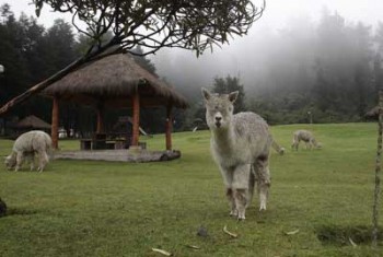 iwanatrip ecuador
