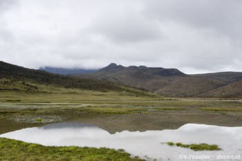 iwanatrip ecuador