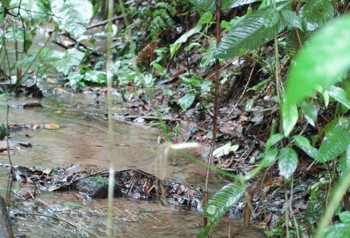 iwanatrip ecuador