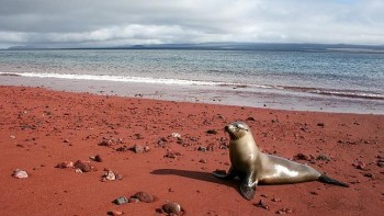iwanatrip ecuador
