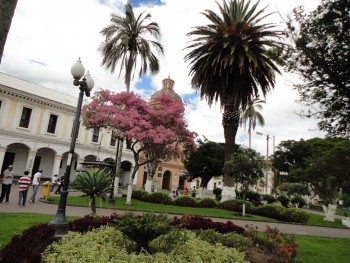iwanatrip ecuador