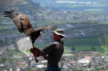 iwanatrip ecuador