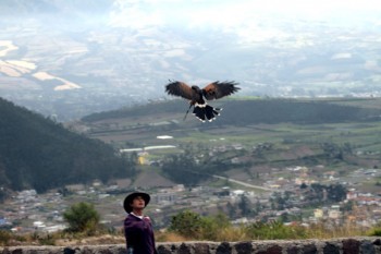 iwanatrip ecuador