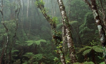 iwanatrip ecuador