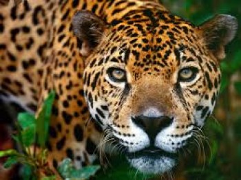 iwanatrip ecuador