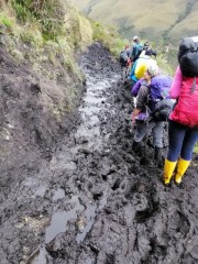 iwanatrip ecuador