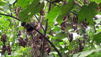 iwanatrip ecuador