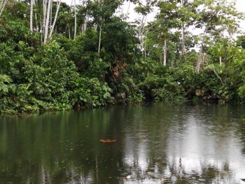 iwanatrip ecuador