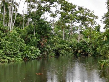 iwanatrip ecuador